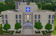 Hospital do Sagrado Baço Divino, localizado em Sunset Valley.