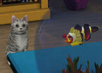 The Sims 3 Pets 07