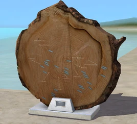 Anéis de Crescimento da 'Glória Anciã'