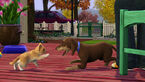 The Sims 3 Pets 01