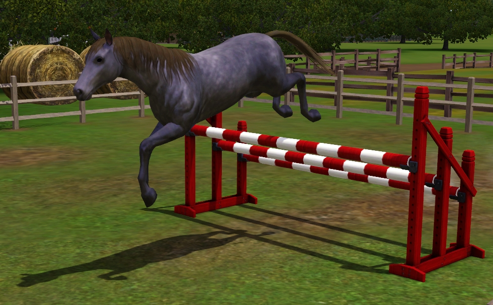 horse, cavalo, pulando, the sims, ilustração, movimento