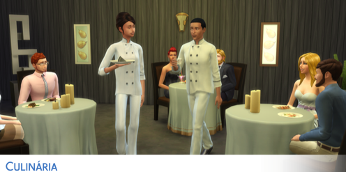 Carreira Culinária, The Sims Wiki