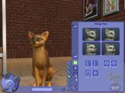 Jogo The Sims 4: Gatos Kabum