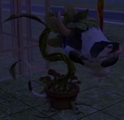 Como ter a Planta-vaca no The Sims 4