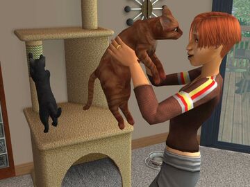 Gato, The Sims Wiki