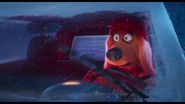 "Oh no."
