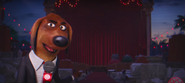 Bob reporting on the makeshift concert about to be held at the theater.
