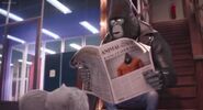 Johnny reads a newspaper.