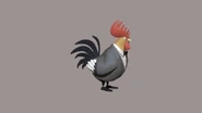 Rooster