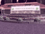 Greenvale General Hospital