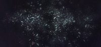 Ice Field.png