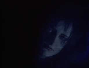 Siouxsie in the dark