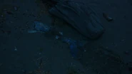 S01E02-The-Lure-009-Mermaid-fishtail.jpg (132 KB)