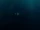 Merfolk