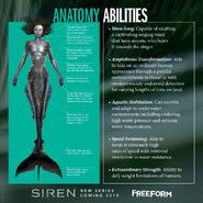 Póster oficial de anatomía y habilidades de las sirenas de Freeform Póster