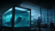 S01E02-The-Lure-065-Donna-Mermaid-Aldon-Decker.jpg (179 KB)