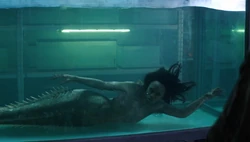 Donna in mermaid form