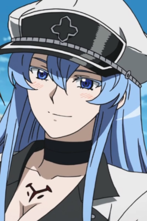 esdeath (akame ga kill!) drawn by halcon