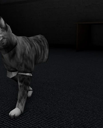 Scp 529 Site Phoenix Wiki Fandom
