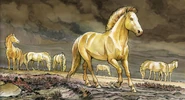 The Golden Mares of Redalda are a sort of living treasures.
