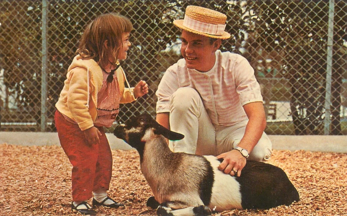 Purina PetAPet Six Flags Wiki Fandom