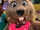 Bucky the Beaver