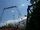 Dare Devil Dive (Six Flags Great America)