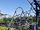 Vortex (Kings Island)
