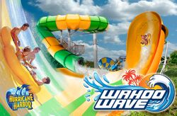 Wahoo Wave Darien Lake