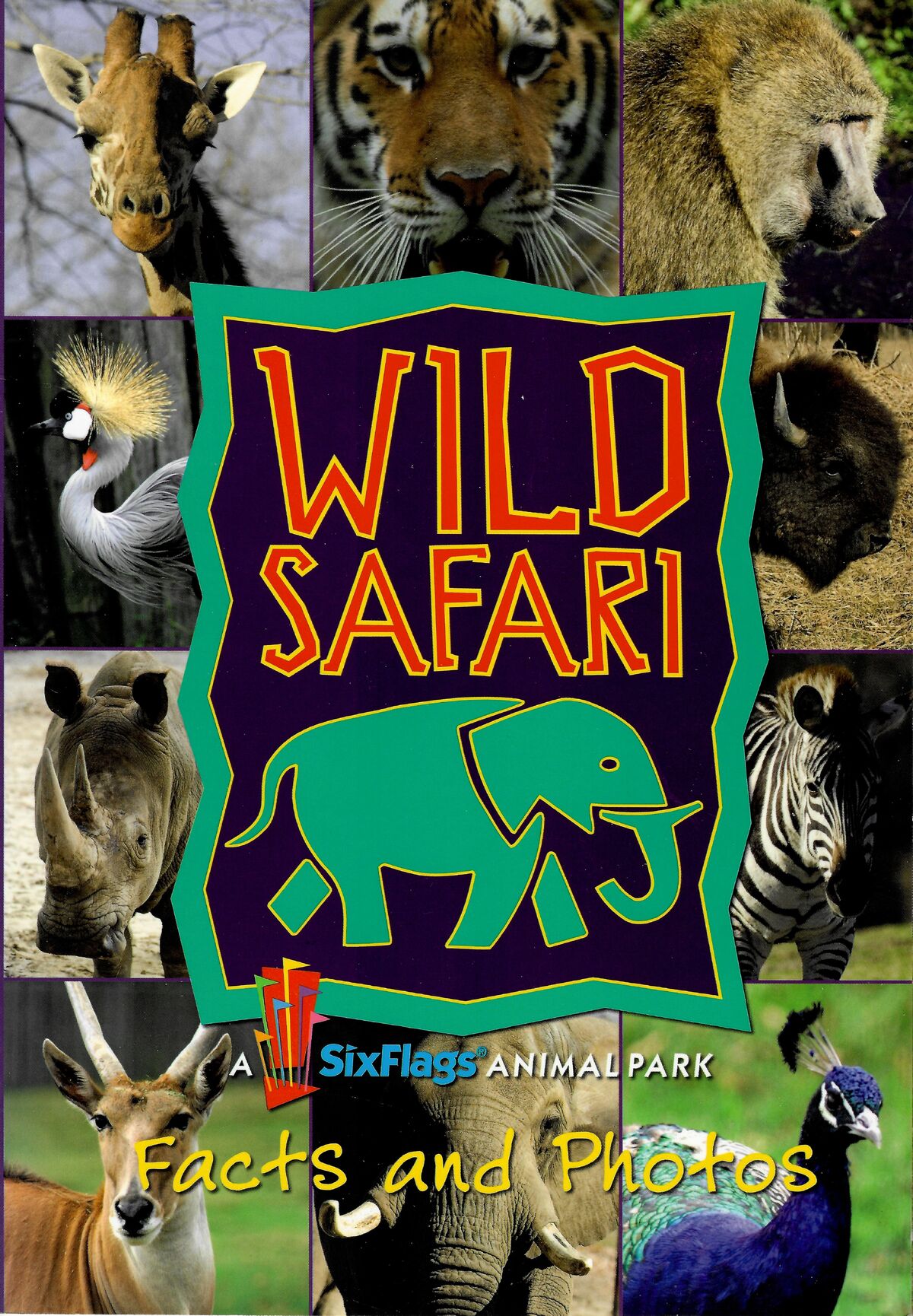 Roar! Six Flags' Animal Ride Takes You On A Wild Journey - o3lozsr
