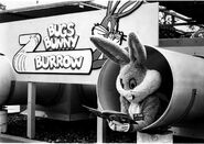 Bugs Bunny reading a book in one of the tunnels of the Bugs Bunny Burrow.