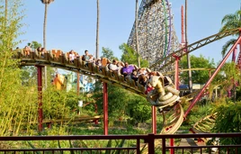 Cobra's Train Passing By