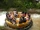 Roaring Rapids (Six Flags Great America)
