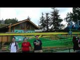 Joe Cool's GR8 SK8