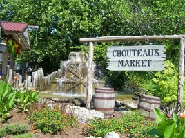Chouteau's Market fountain in 2007