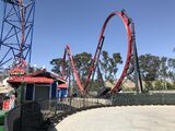 Harley Quinn Crazy Coaster