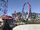 Harley Quinn Crazy Coaster