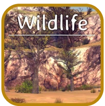 WildlifeHome