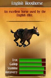 English bloodhorse