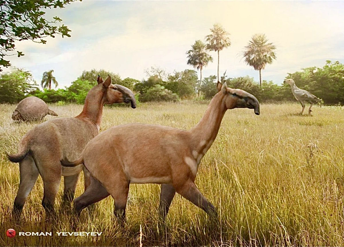 Macrauchenia Sixth Extinction Wiki Fandom