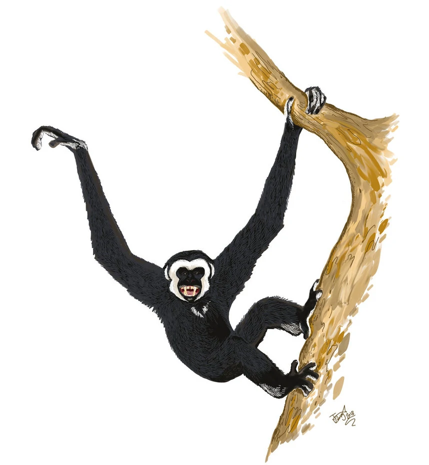 Junzi | Sixth Extinction Wiki | Fandom