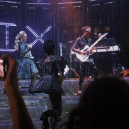 Photographed by @popesaidnope