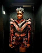 Breakaway 4.0 12.16-1.15 4.jpg (145 KB) Anna as portrayed by Janice Rijssel in the fourth Breakaway cruise production