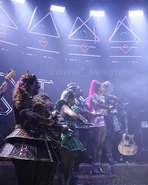 Photographed by @aspectsofed on Instagram