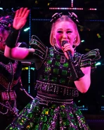 Photographed by @isaacgrinnellphoto on Instagram