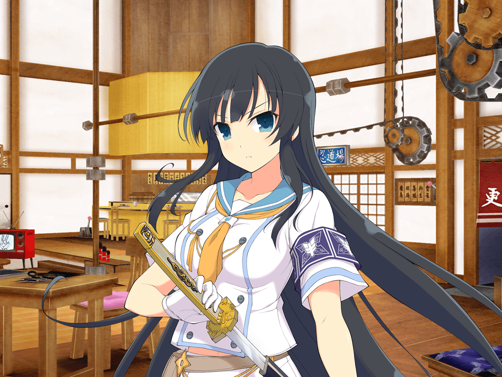 Senran Kagura: New Link, Wiki