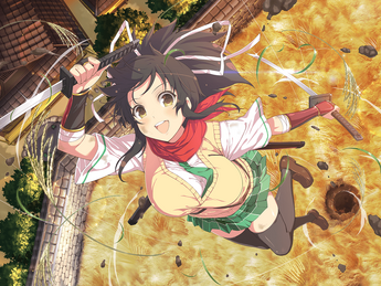 [Shinobi Master Senran Kagura NEW LINK] Sleeve (Asuka)