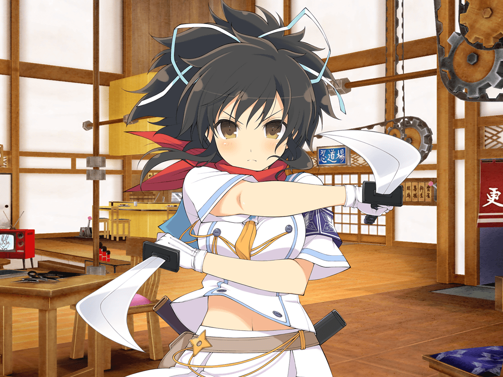 Senran Kagura: New Link, Wiki