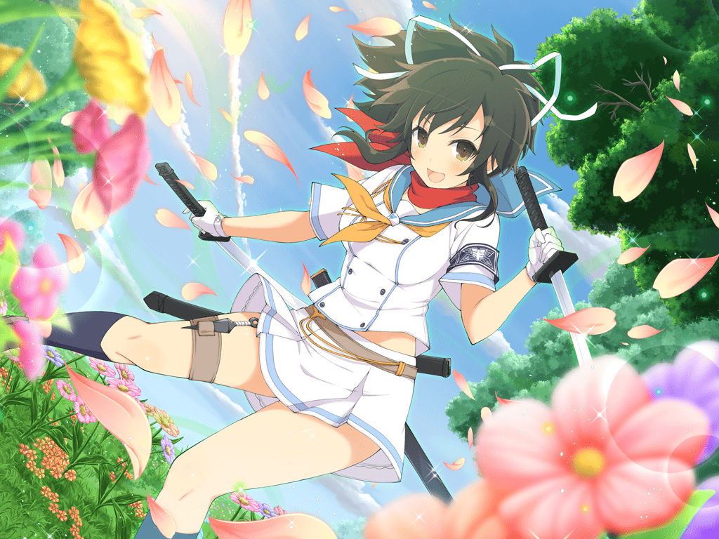 Shinobi Master Senran Kagura: New Link celebrates third