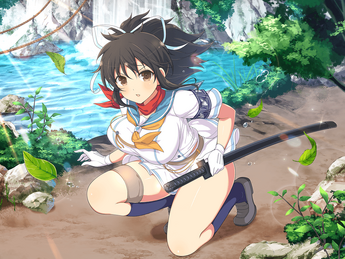 Asuka, Senran Kagura New Link Wiki